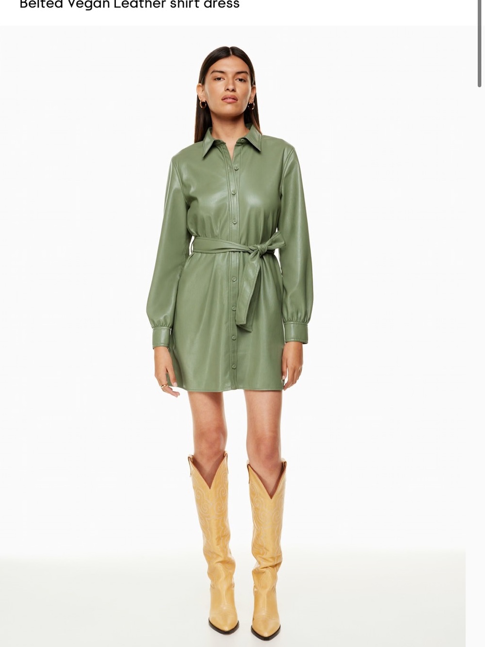 Aritzia Wilfred Caroline Dress in Bitter Sage Size 2XS